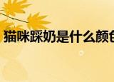 猫咪踩奶是什么颜色（猫咪踩奶是什么意思）