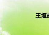 王垣胡蕾（王垣）