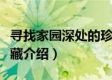 寻找家园深处的珍藏（关于寻找家园深处的珍藏介绍）