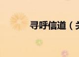 寻呼信道（关于寻呼信道介绍）