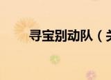 寻宝别动队（关于寻宝别动队介绍）