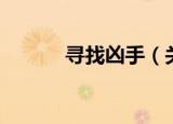 寻找凶手（关于寻找凶手介绍）