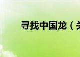 寻找中国龙（关于寻找中国龙介绍）