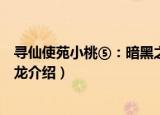 寻仙使苑小桃⑤：暗黑之龙（关于寻仙使苑小桃⑤：暗黑之龙介绍）