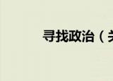 寻找政治（关于寻找政治介绍）