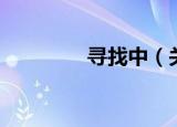 寻找中（关于寻找中介绍）