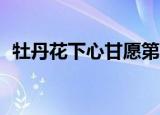 牡丹花下心甘愿第40章（牡丹花下心甘愿）