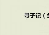 寻子记（关于寻子记介绍）