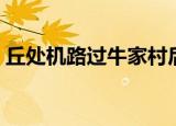 丘处机路过牛家村后果（丘处机路过牛家村）
