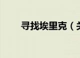 寻找埃里克（关于寻找埃里克介绍）