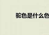 驼色是什么色系（驼色是什么色）