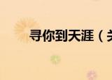 寻你到天涯（关于寻你到天涯介绍）