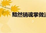 黯然销魂掌做法（黯然销魂蛋文集）