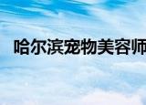 哈尔滨宠物美容师地址（哈尔滨宠物美容）