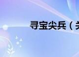 寻宝尖兵（关于寻宝尖兵介绍）