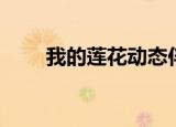 我的莲花动态伴奏简谱（我的莲花）