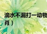 滴水不漏打一动物生肖（滴水不漏打一动物生肖）