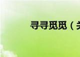 寻寻觅觅（关于寻寻觅觅介绍）