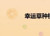 幸运草种植方法（幸运草）