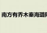 南方有乔木秦海璐陈伟霆（南方有乔木评价）