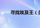 寻找埃及王（关于寻找埃及王介绍）
