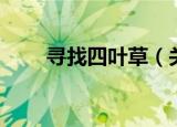 寻找四叶草（关于寻找四叶草介绍）