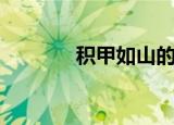 积甲如山的意思（积甲如山）