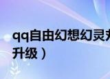 qq自由幻想幻灵丸在哪买（qq自由幻想幻神升级）