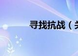 寻找抗战（关于寻找抗战介绍）