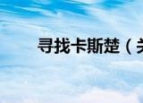 寻找卡斯楚（关于寻找卡斯楚介绍）