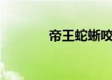 帝王蛇蜥咬人吗（帝王蛇蜥）