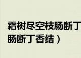 霜树尽空枝肠断丁香结作者背景（霜树尽空枝肠断丁香结）