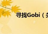 寻找Gobi（关于寻找Gobi介绍）