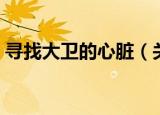 寻找大卫的心脏（关于寻找大卫的心脏介绍）