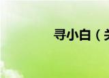 寻小白（关于寻小白介绍）