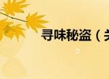 寻味秘盗（关于寻味秘盗介绍）