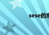 sese的意思（seseaa）