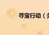 寻宝行动（关于寻宝行动介绍）