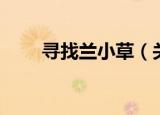 寻找兰小草（关于寻找兰小草介绍）