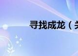 寻找成龙（关于寻找成龙介绍）