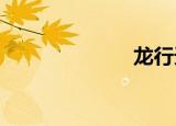 龙行天下旅行社