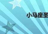 小马座圣斗士（小马座）