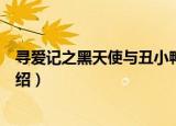 寻爱记之黑天使与丑小鸭（关于寻爱记之黑天使与丑小鸭介绍）