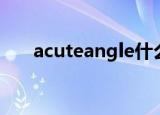 acuteangle什么意思（acuteangle）