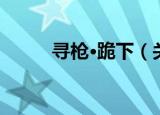 寻枪·跪下（关于寻枪·跪下介绍）