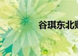 谷琪东北财经大学（谷琪）