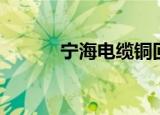 宁海电缆铜回收（宁海电视台）