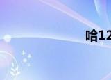 哈122政府网站