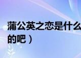蒲公英之恋是什么时候拍的（蒲公英之恋是假的吧）