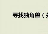 寻找独角兽（关于寻找独角兽介绍）